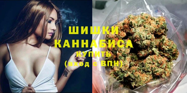 твердый Михайловск