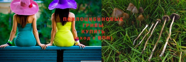 амф Медногорск