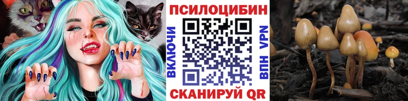 Псилоцибиновые грибы Psilocybe  Кемь 
